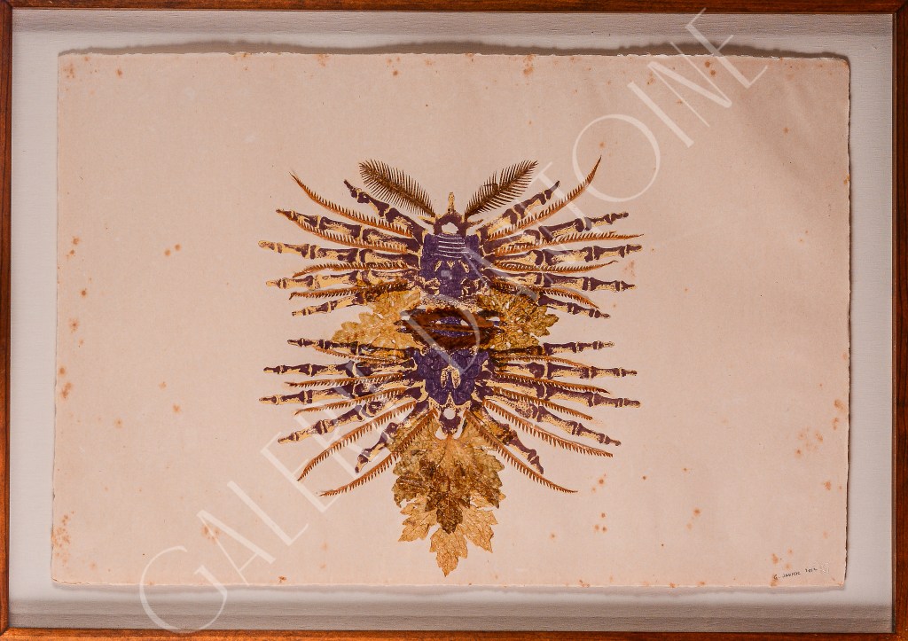 Manussomnium Crustacea B