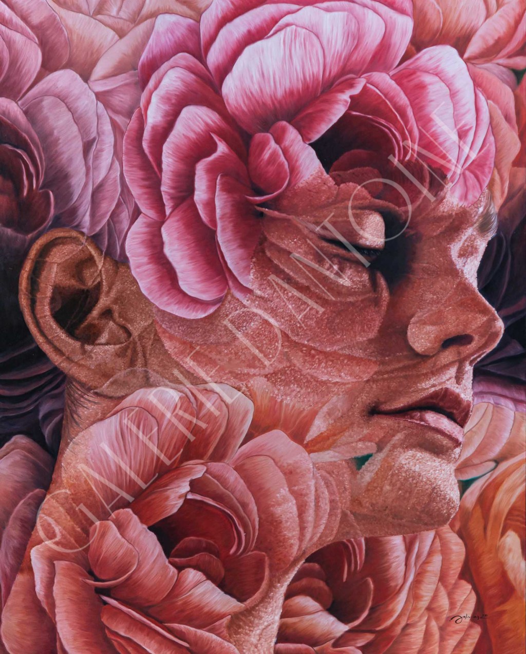 Clara (Flower Series)